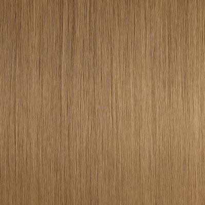 Extension biadesive Long Lasting - #10 Castano chiaro
