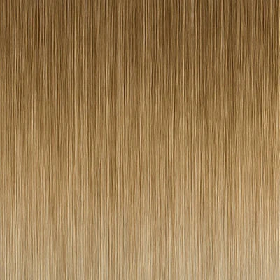 Extension biadesive Long Lasting - #11/1001 Balayage