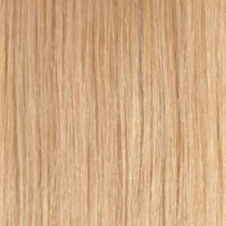 (19) #18 Mellanblond (Färgprov)