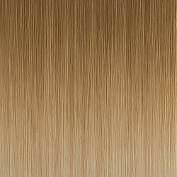 (29) #11/1001 Balayage (Färgprov)