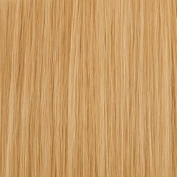(18) #12 Mörkblond (Färgprov)