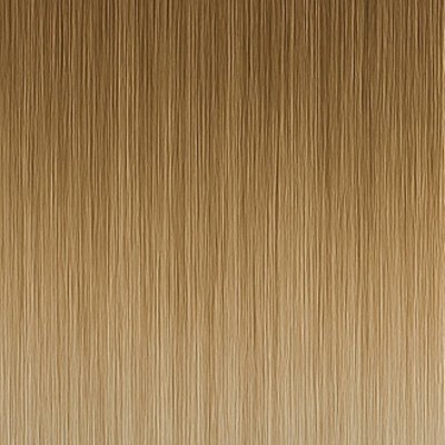 #11/1001 Balayage (Färgprov)