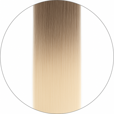 #11/1001 Balayage, 50cm, 50g, Nail hair, Single drawn